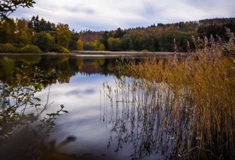 Kraj pod Javořicí, Horní Mrzatec, rybník vhodný ke koupání