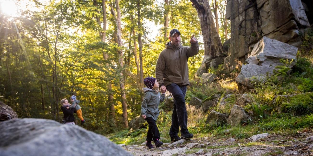 Krásy lesa v okolí Roštějna poznáte nejlépe pěšky