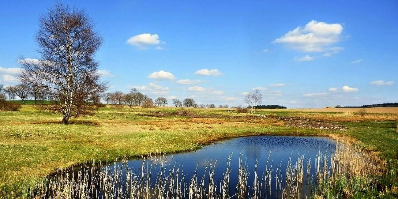 Přírodní rezervace V Lisovech