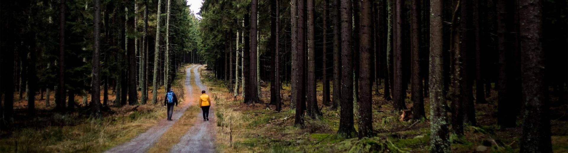 Kraj pod Javořicí, Putování s průvodce v Geoparku Vysočina