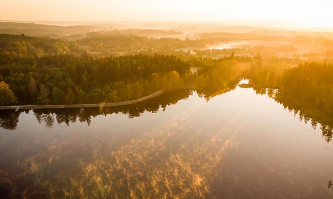 Velký pařezitý rybník je ideální místo ke koupání u Telče, pohled na rybník při západu slunce